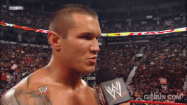 87815773301f4b25a84407de7ee67cfe.gif