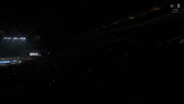 IMG_5816.gif