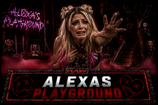 Alexa Seg.png