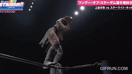 629c52aaa5094b999970999d9d16e8fc (1).gif