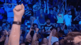 wwe-audience-wwe-gif.gif