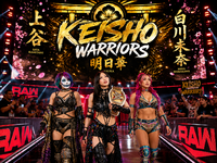 Keisho Warrior Bild 1.png