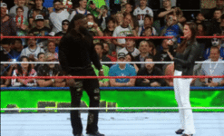 20260728_025946.gif