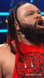 Jacob_Fatu_just_dropped_straight_.gif