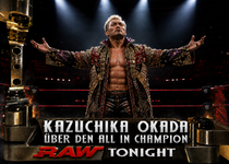 okada segmenrt.png