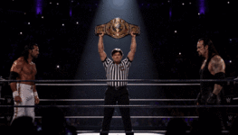 14.gif