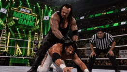 17.gif