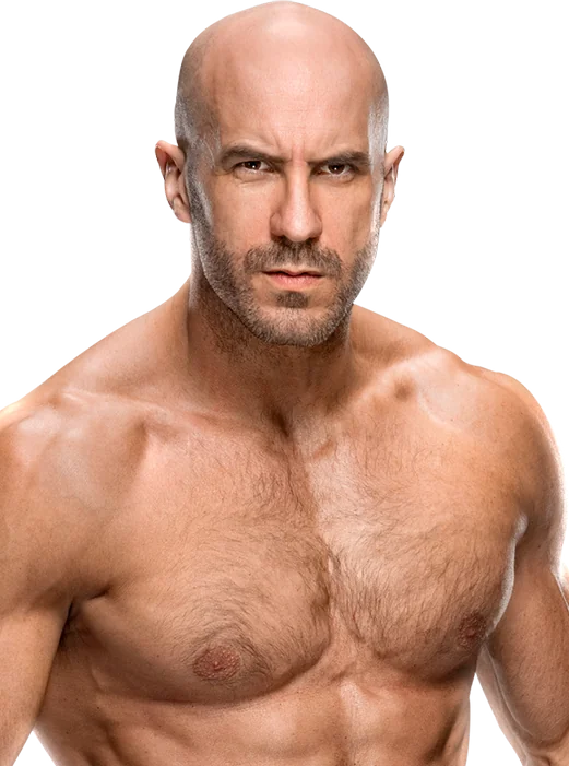 Claudio Castagnoli